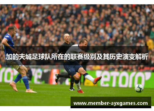 加的夫城足球队所在的联赛级别及其历史演变解析