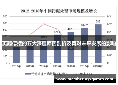 英超停摆的五大深层原因剖析及其对未来发展的影响 英超停摆的五大深层原因剖析及其对未来发展的影响