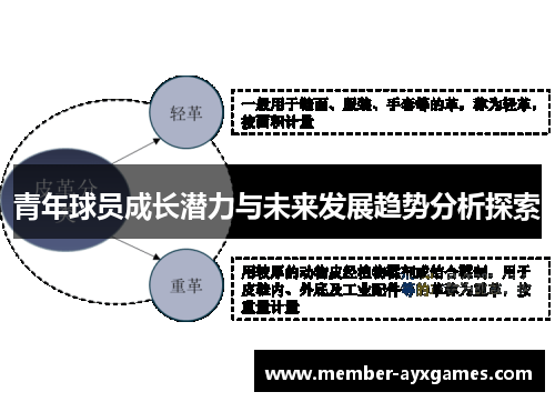 青年球员成长潜力与未来发展趋势分析探索