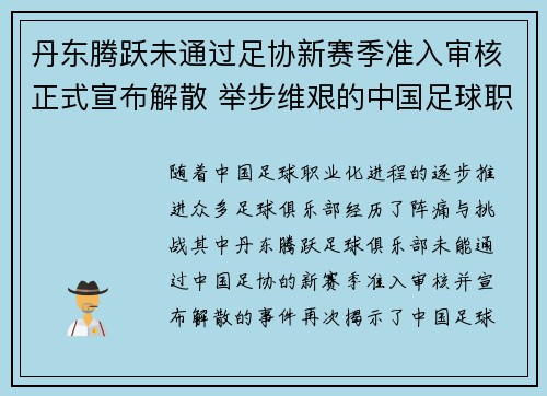 丹东腾跃未通过足协新赛季准入审核正式宣布解散 举步维艰的中国足球职业化困境再现